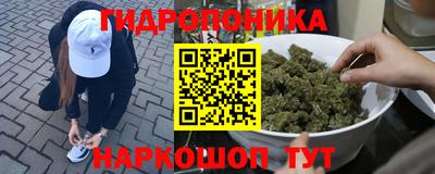 индика Абакан