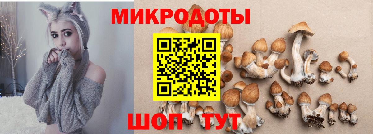 Псилоцибиновые грибы GOLDEN TEACHER Алатырь